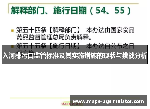 入河排污口监管标准及其实施措施的现状与挑战分析