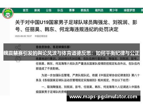魏震禁赛引发的舆论风波与体育道德反思：如何平衡纪律与公正