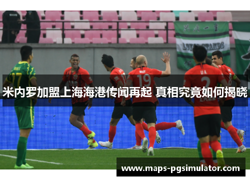 米内罗加盟上海海港传闻再起 真相究竟如何揭晓
